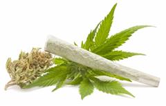 © Luis Carlos Jiménez/Fotolia