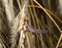 © Michael Tieck/Fotolia