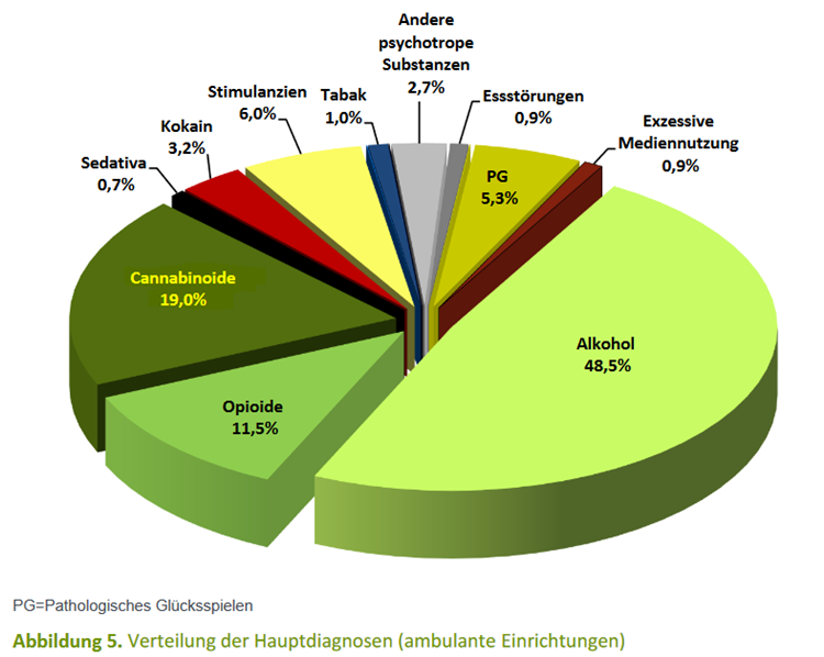 Hauptdiagnosegruppen in abmulanten Einrichtungen (Quelle: Jahresbericht DSHS 2018)